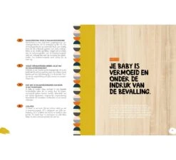 Het Grote Opgroeiboek - Baby's -Little Dutch Winkel lantaarn het grote opgroeiboek baby s 6