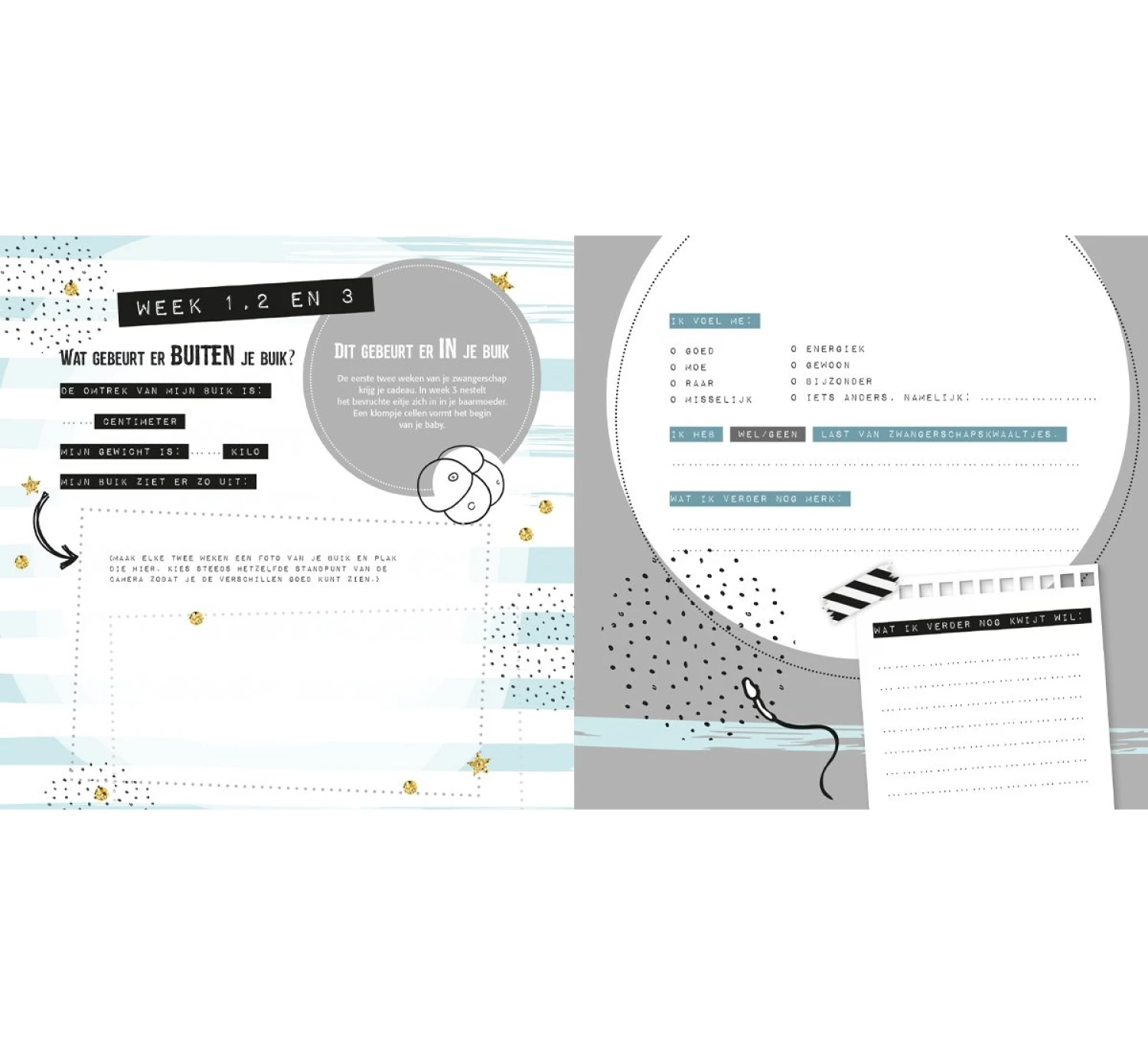 Negen Maandenboek 8 Negen Maandenboek - Afbeelding 6