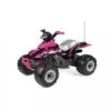 PEG PEREGO Corral T-Rex 330W Quad 2 PEG PEREGO Corral T-Rex 330W Quad -Little Dutch Winkel peg perego corral t rex 330w quad